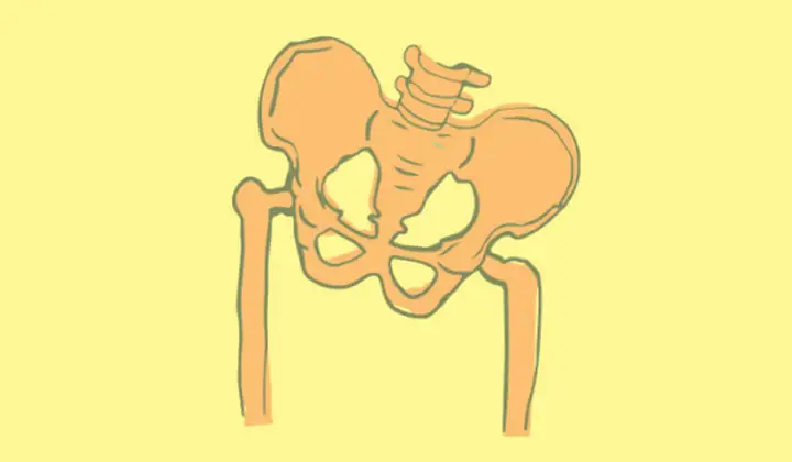 Pelvic Floor Therapy for Erectile Dysfunction BANNER
